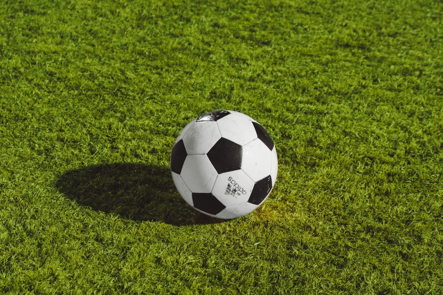 Historias de superación detrás de los jugadores más destacados